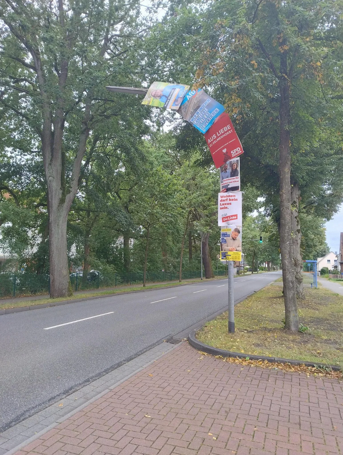 Bild einer zur Straße gebogenen Straßenlaterne, die von oben bis unten mit kleinen Wahlplakaten behangen wurde